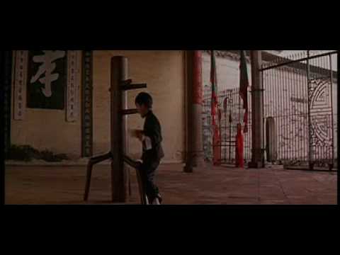 Gli insegnamenti di Yip Man