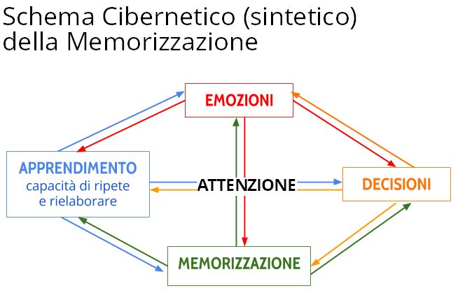 Il modo di apprendere di un Bambino e di un Adulto sono identici, non differiscono.